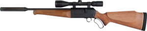 phoenixleveraction-300x65-8690736